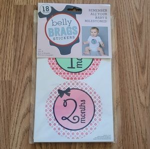 🆕️Baby milestone stickers